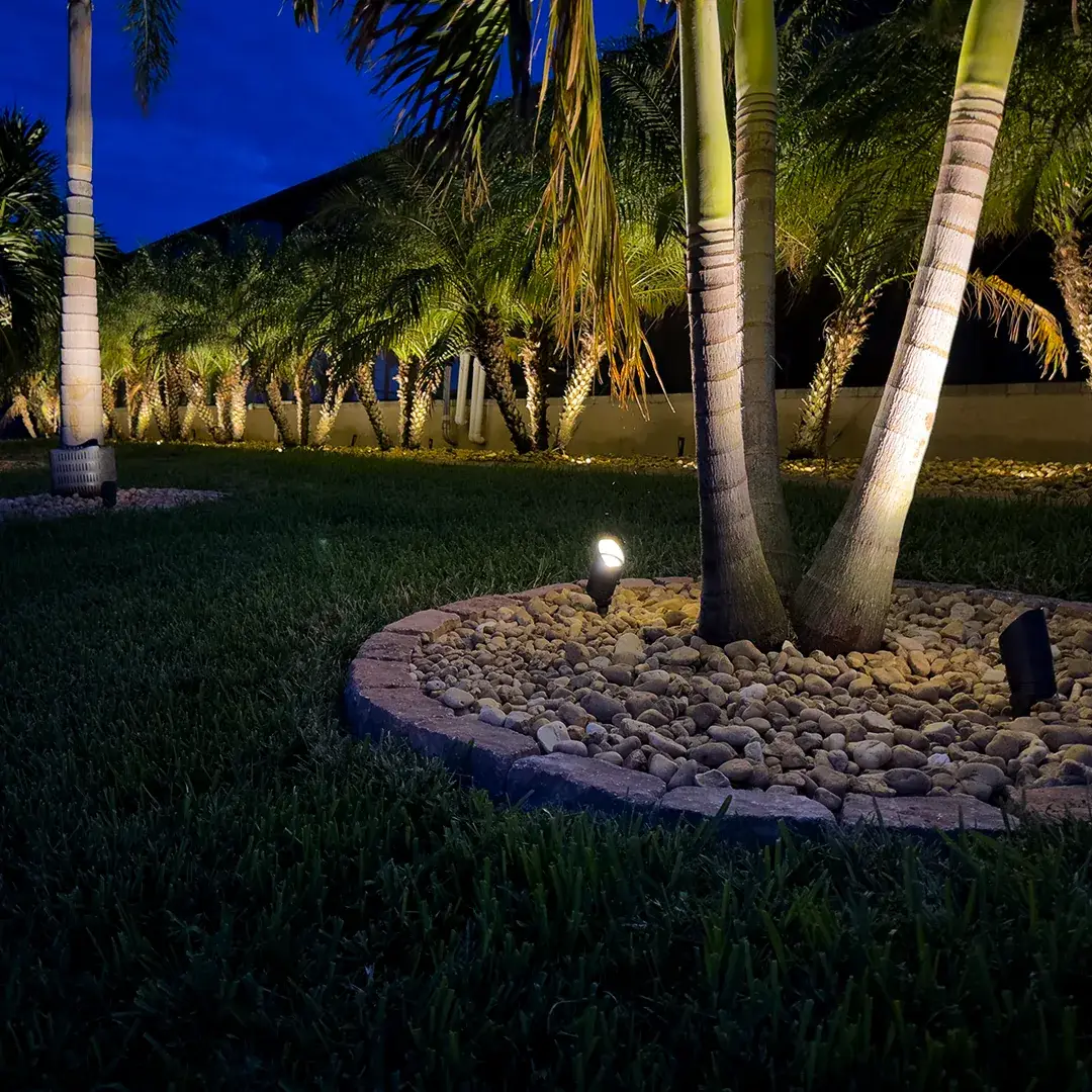 landscape-uplighting-path-lighting - Precision Pools Landscape - Precision Pools Landscape Warm LED spotlight uplighting the base of a multi-trunk palm in a stone-edged river rock bed at dusk